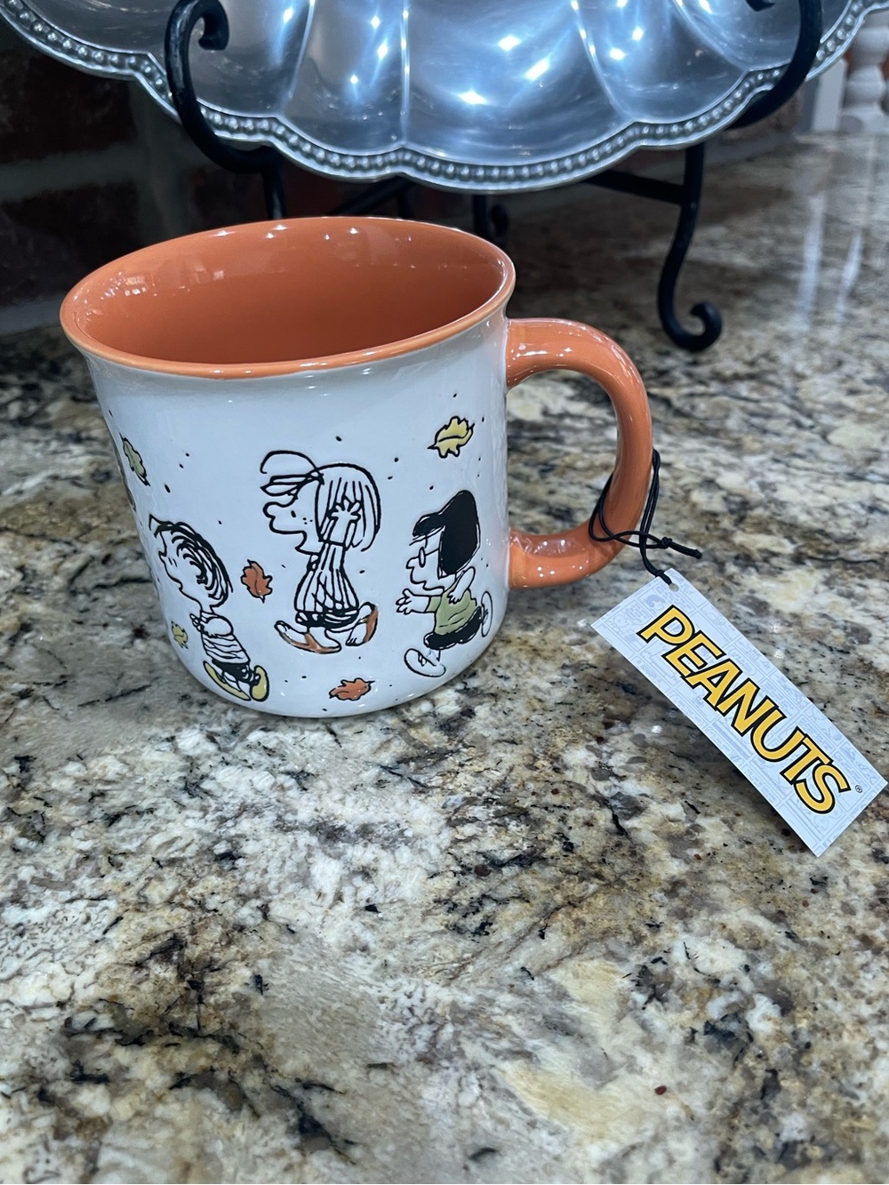 Peanuts Charlie Brown and friends fall leaves design double sided mug -Brand New